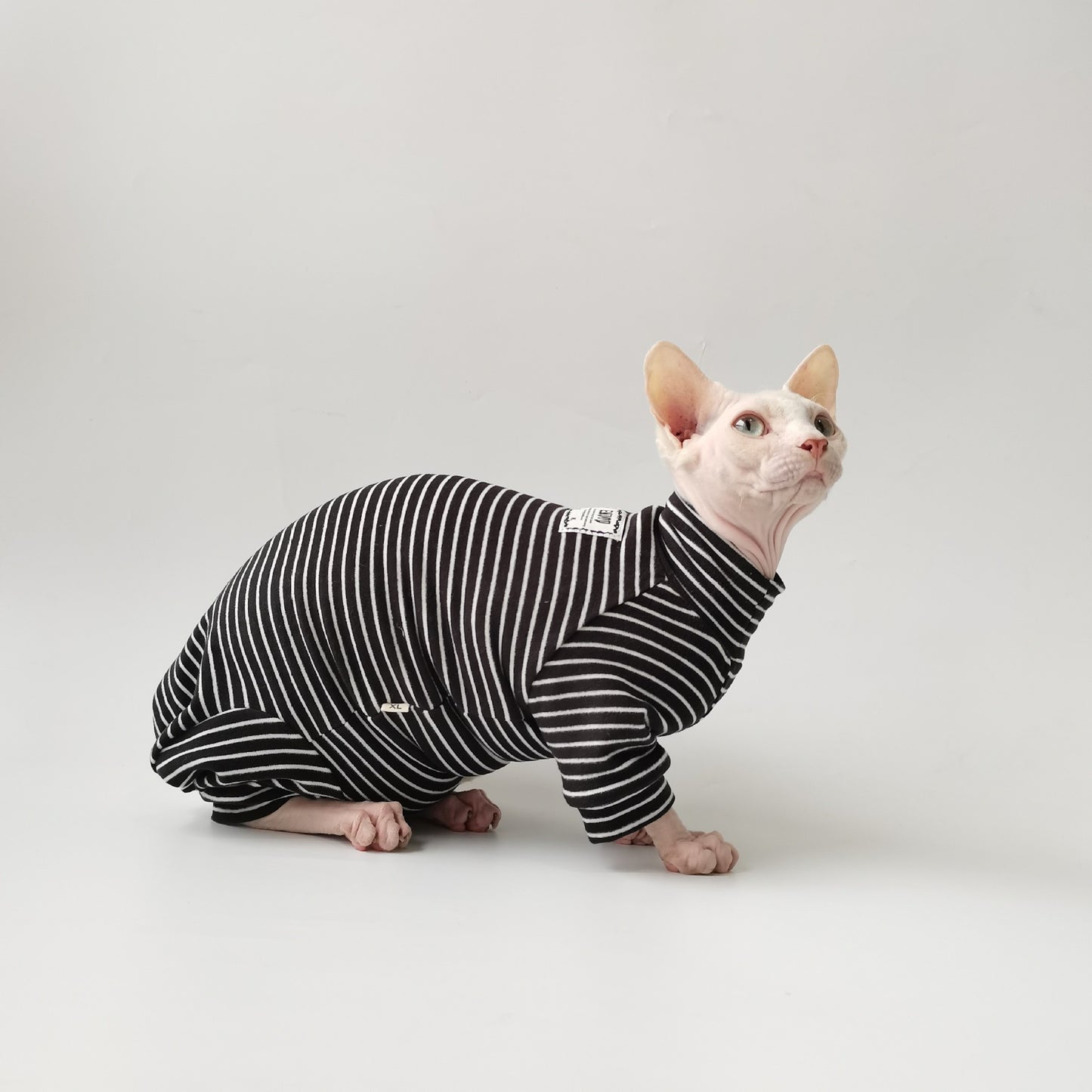 Bellyband Four Legged Pet Clothing Bottoming Shirt