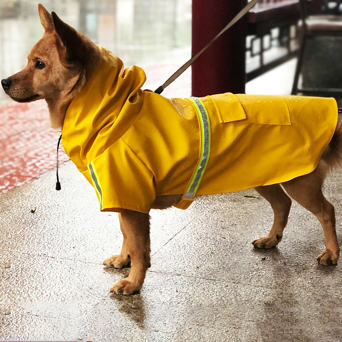 Dog Raincoat Waterproof Jacket With Safety Reflective Stripe Gomaki