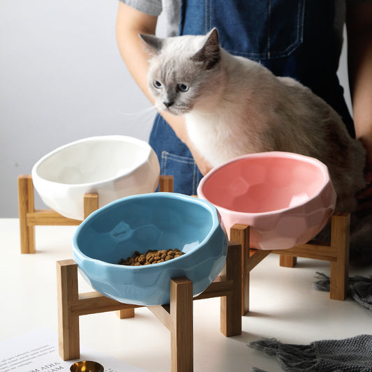 Pet Bowl Ceramic And Wood Gomaki