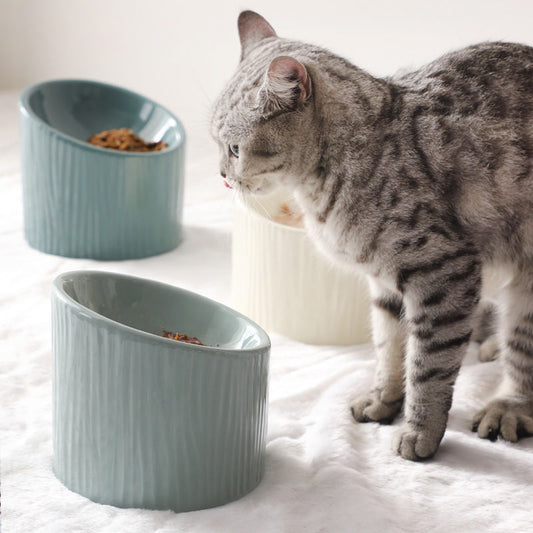 Oblique Ceramic Cat And Dog Bowl Gomaki Shop