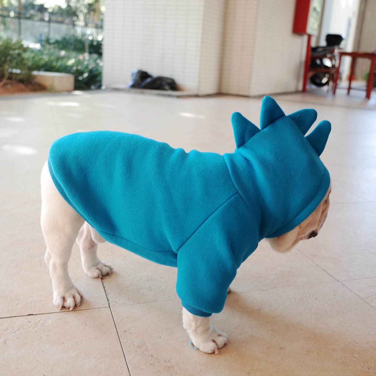 Dinosaur Dog Hoodie Gomaki Shop