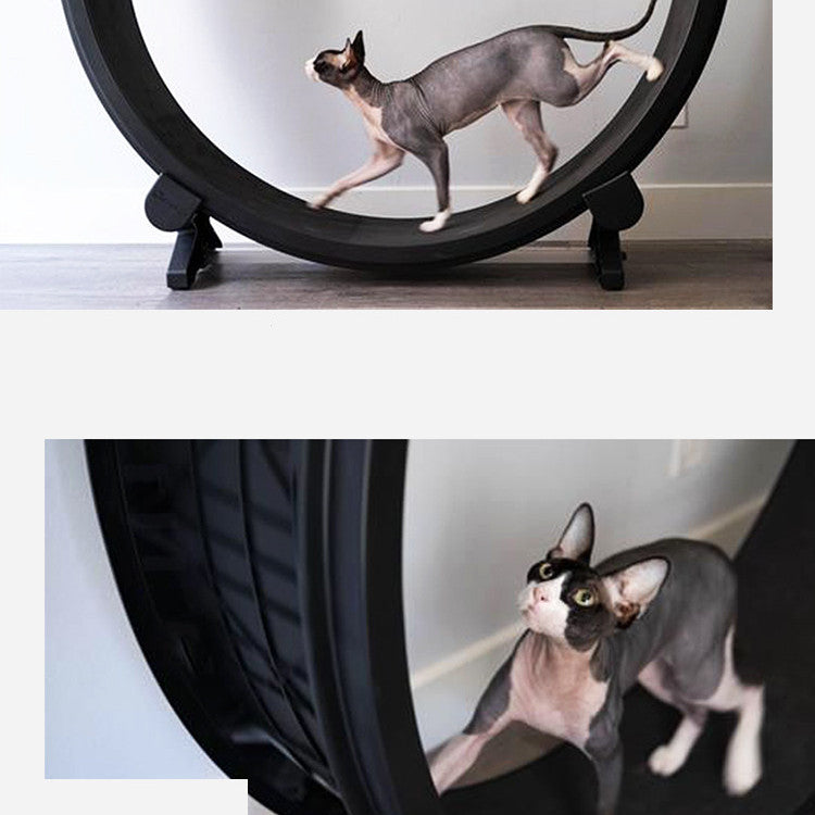 Luxury Cat Treadmill Running Wheel Silent Climbing Frame Gomaki