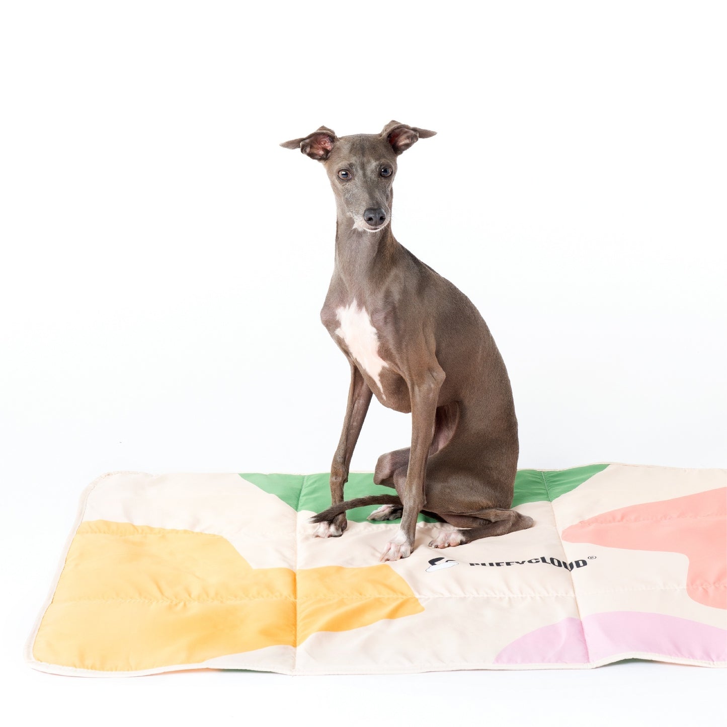 Foldable Waterproof Dog Outdoor Travel Mat Gomaki
