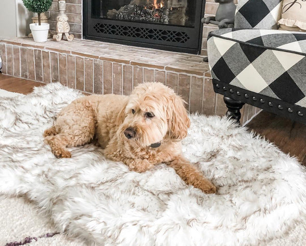 Luxury Faux Fur Pet Rug Gomaki Shop