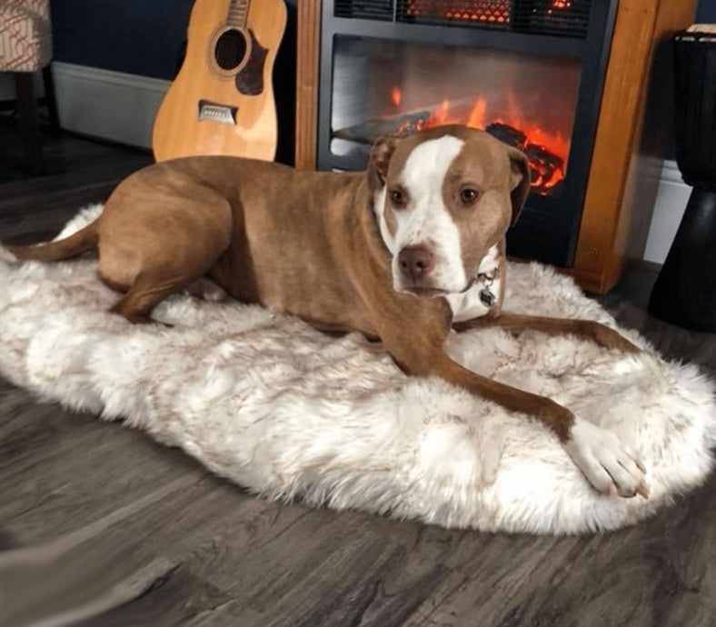 Luxury Faux Fur Pet Rug Gomaki Shop
