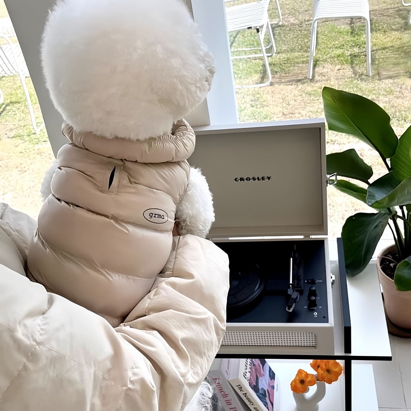 Warm Universal Puppy Dog Vest Gomaki Shop