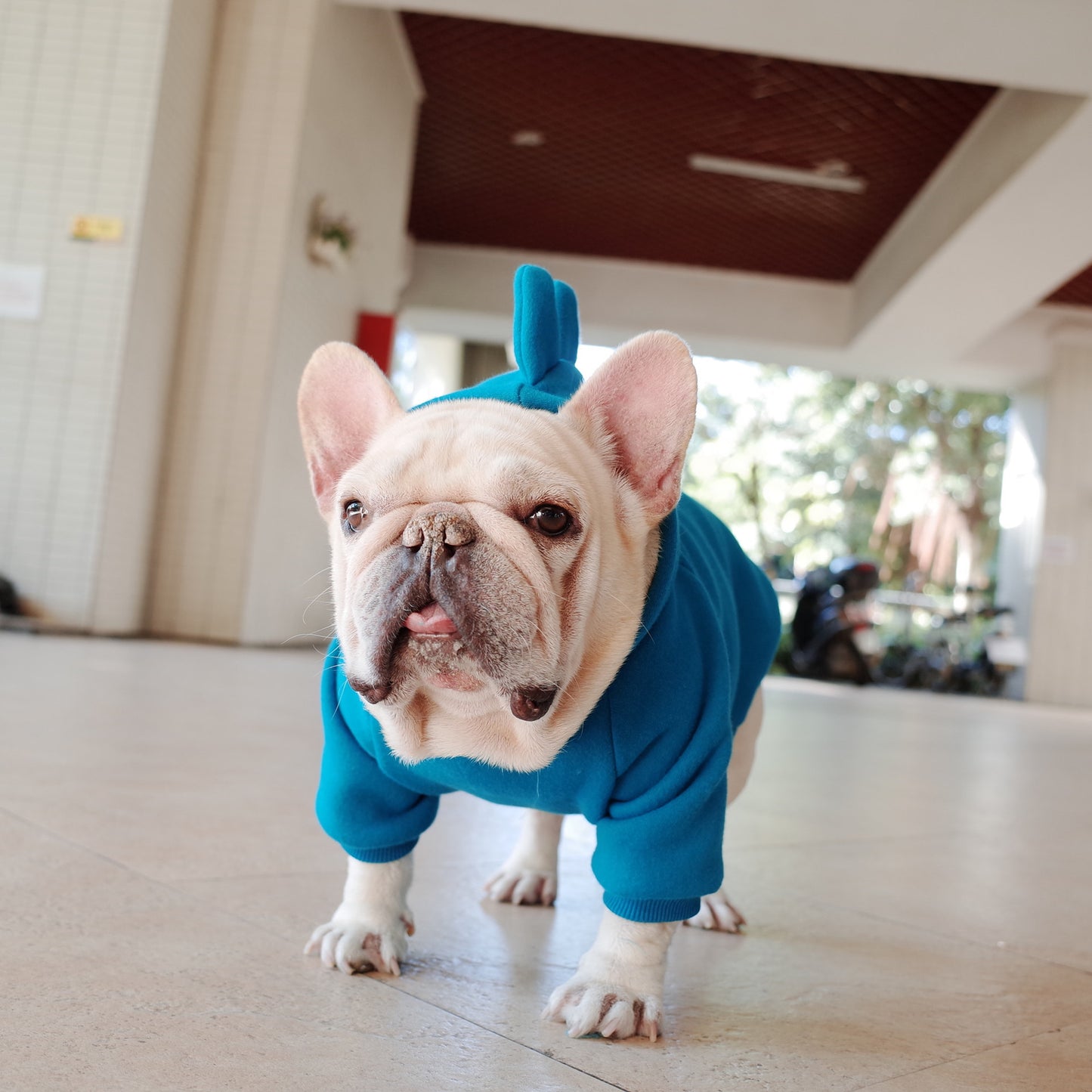Dinosaur Dog Hoodie Gomaki Shop