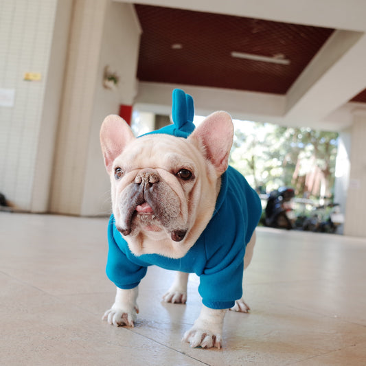 Dinosaur Dog Hoodie Gomaki Shop