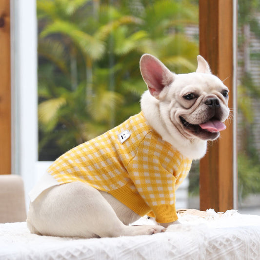 Soft Knit Pullover for Small and Medium Dogs Gomaki Shop