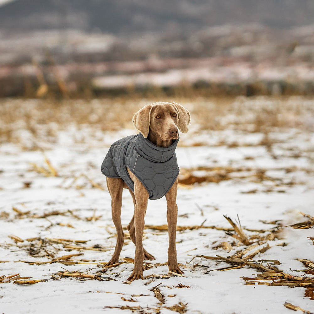 Waterproof Quilted Dog Jacket Gomaki Shop