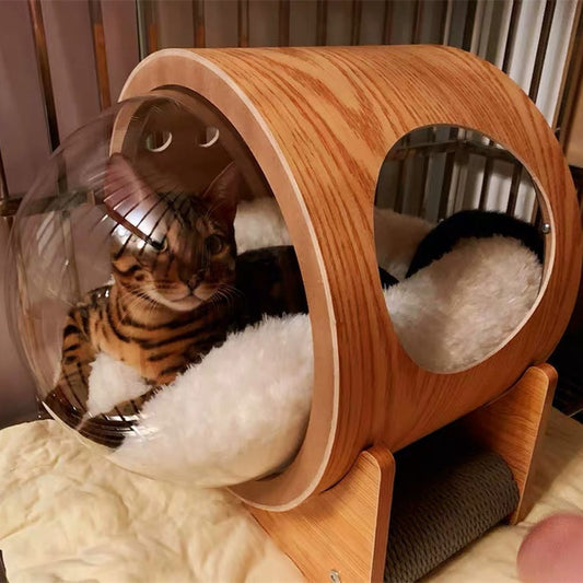 Luxury Transparent Cat Bed Wooden Capsule Design Gomaki