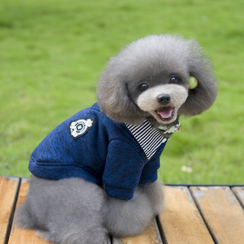 Elegant Dog Sweater With Striped Collar Gomaki Shop