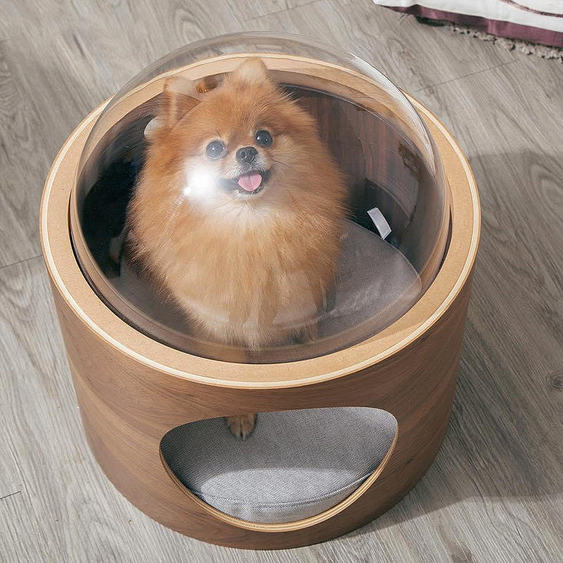 Luxury Transparent Cat Bed Wooden Capsule Design Gomaki
