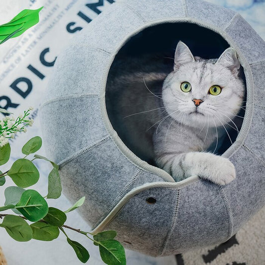 Convertible Felt Cat Bed Cave Gomaki