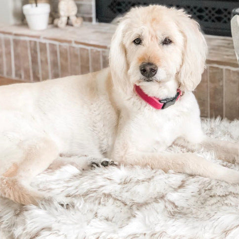Luxury Faux Fur Pet Rug Gomaki Shop