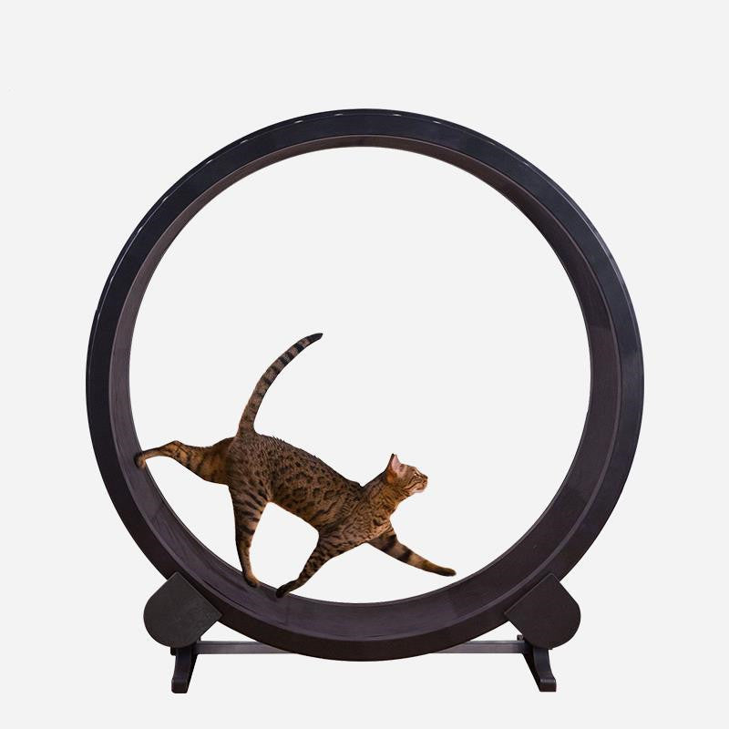 Luxury Cat Treadmill Running Wheel Silent Climbing Frame Gomaki