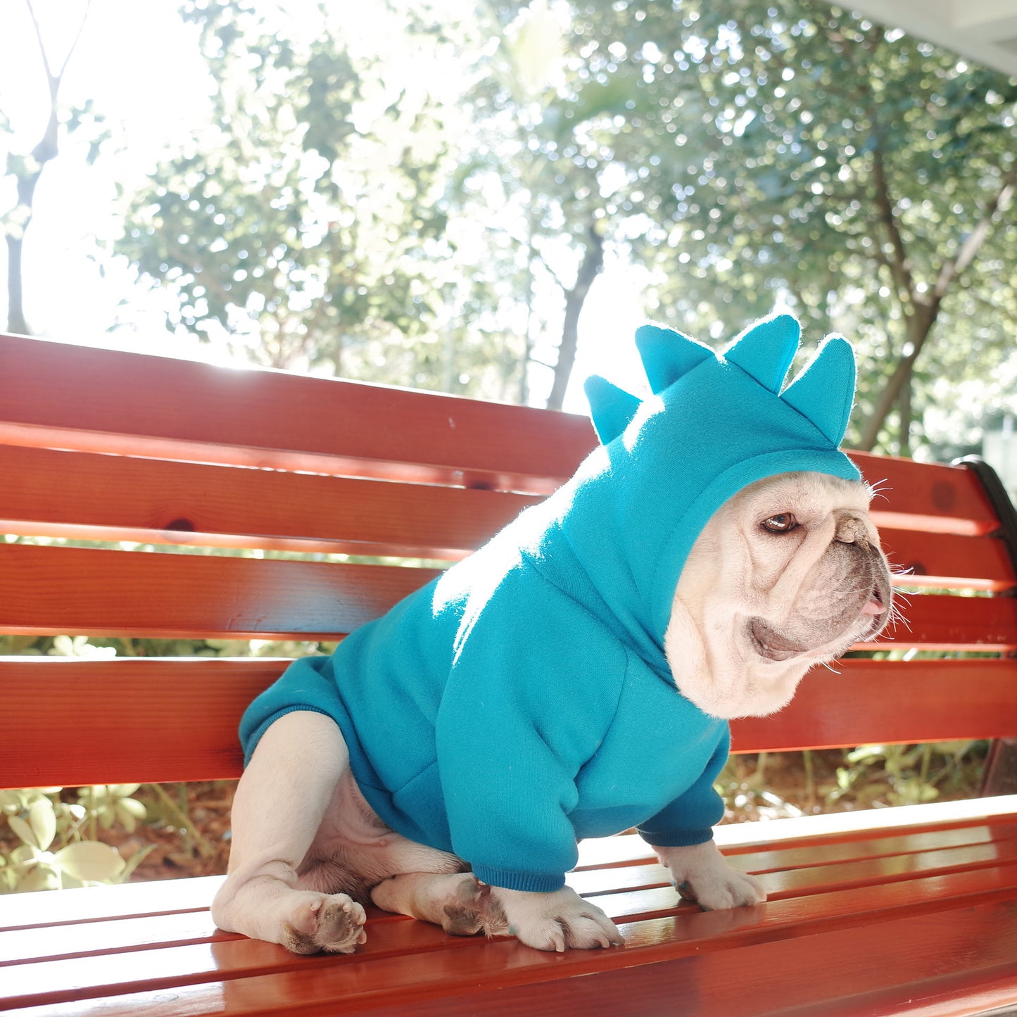 Dinosaur Dog Hoodie Gomaki Shop