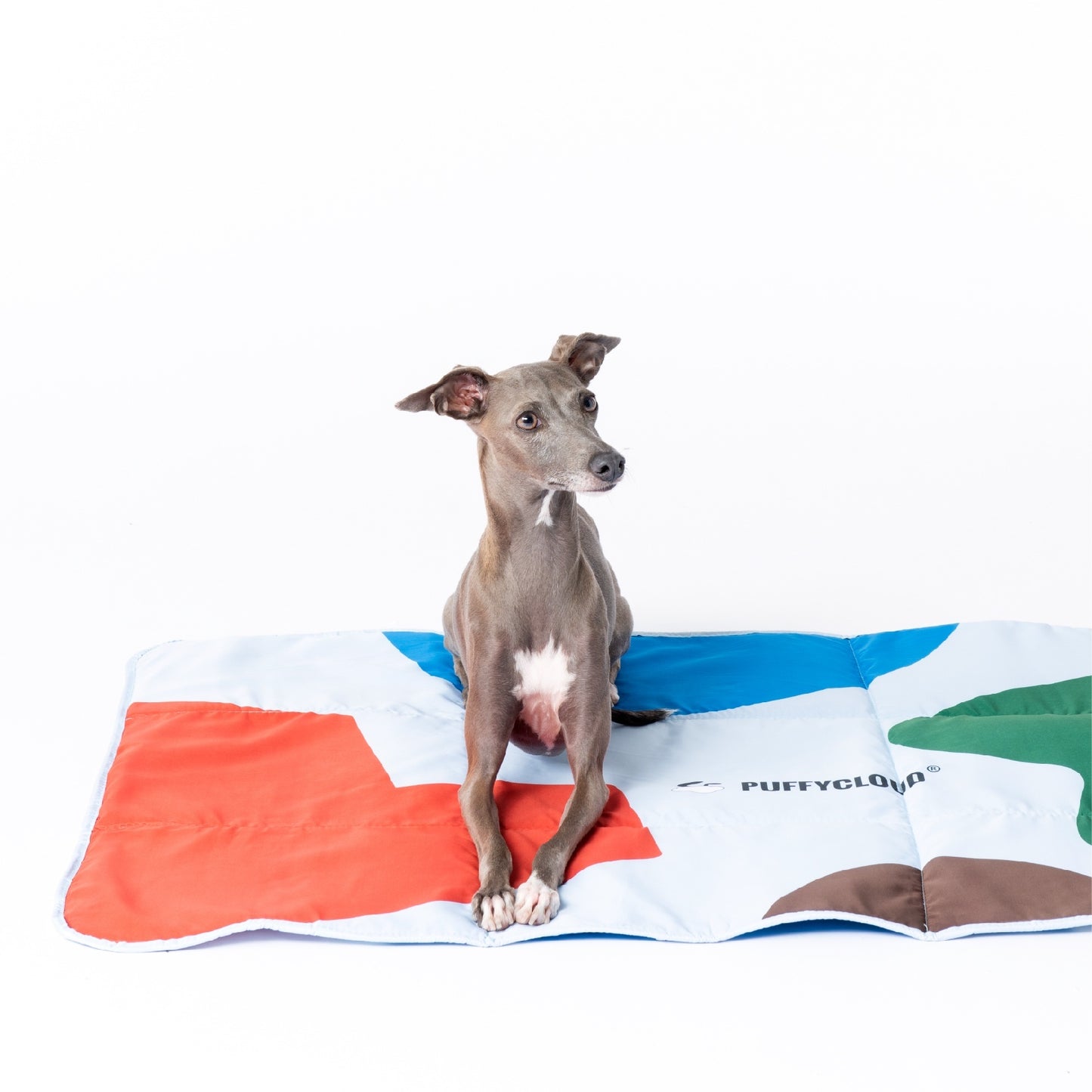 Foldable Waterproof Dog Outdoor Travel Mat Gomaki