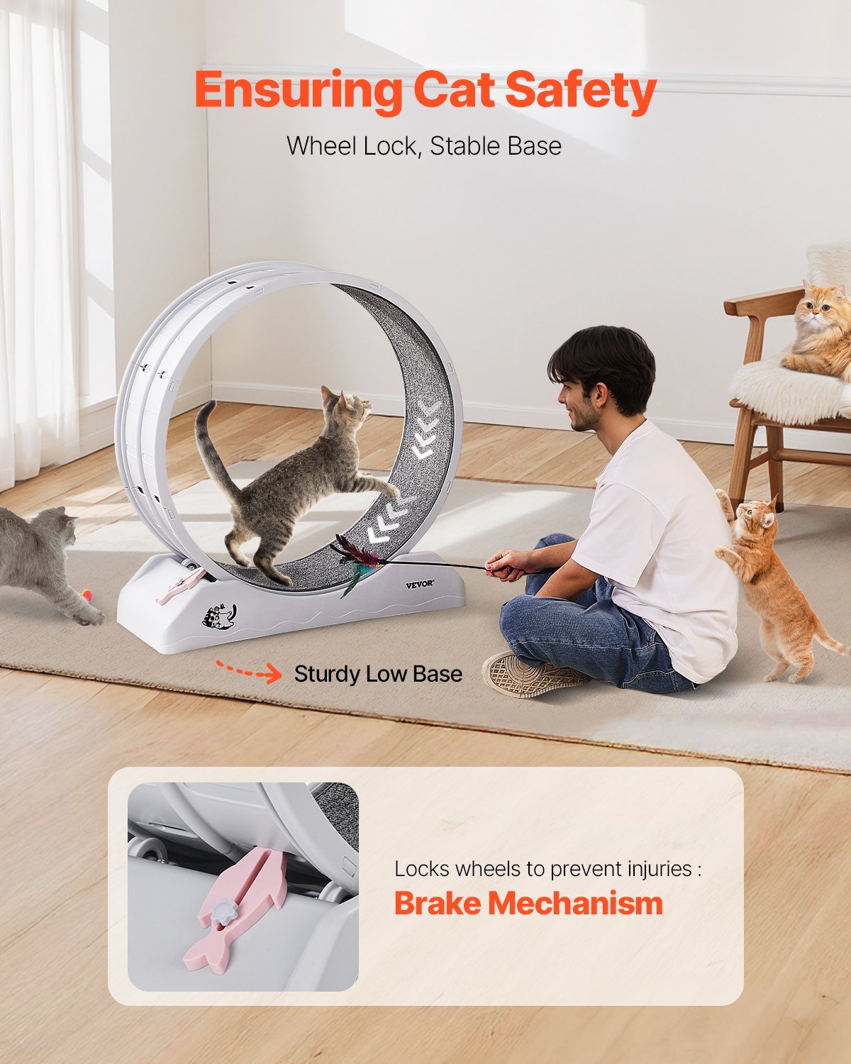 Cat Exercise Running Wheel Treadmill Gomaki