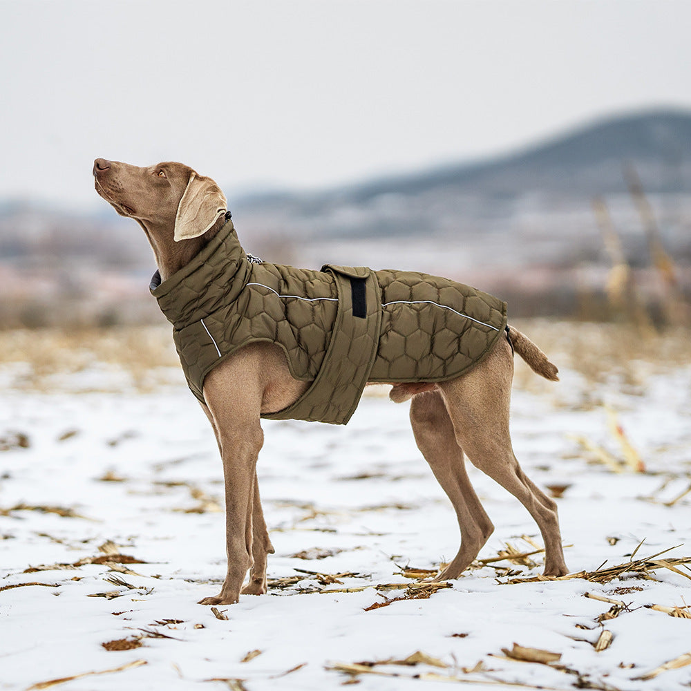 Waterproof Quilted Dog Jacket Gomaki Shop