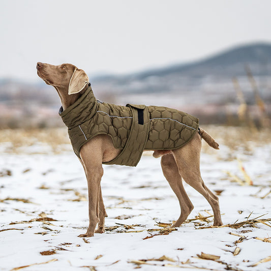 Waterproof Quilted Dog Jacket Gomaki Shop