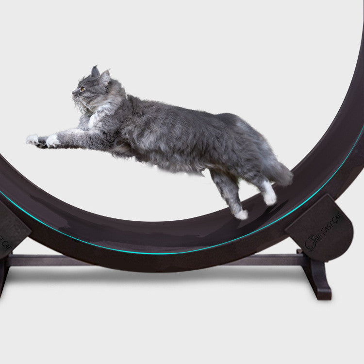 Luxury Cat Treadmill Running Wheel Silent Climbing Frame Gomaki
