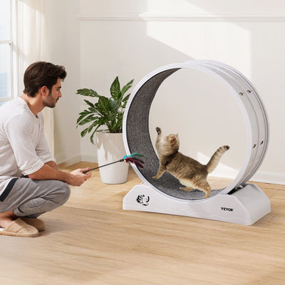 Cat Exercise Running Wheel Treadmill Gomaki