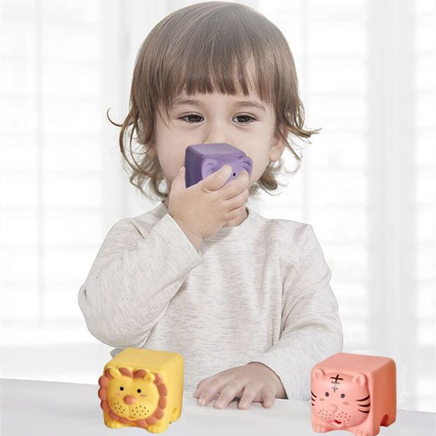 Montessori Inspired Soft Silicone Baby Blocks Set Gomaki