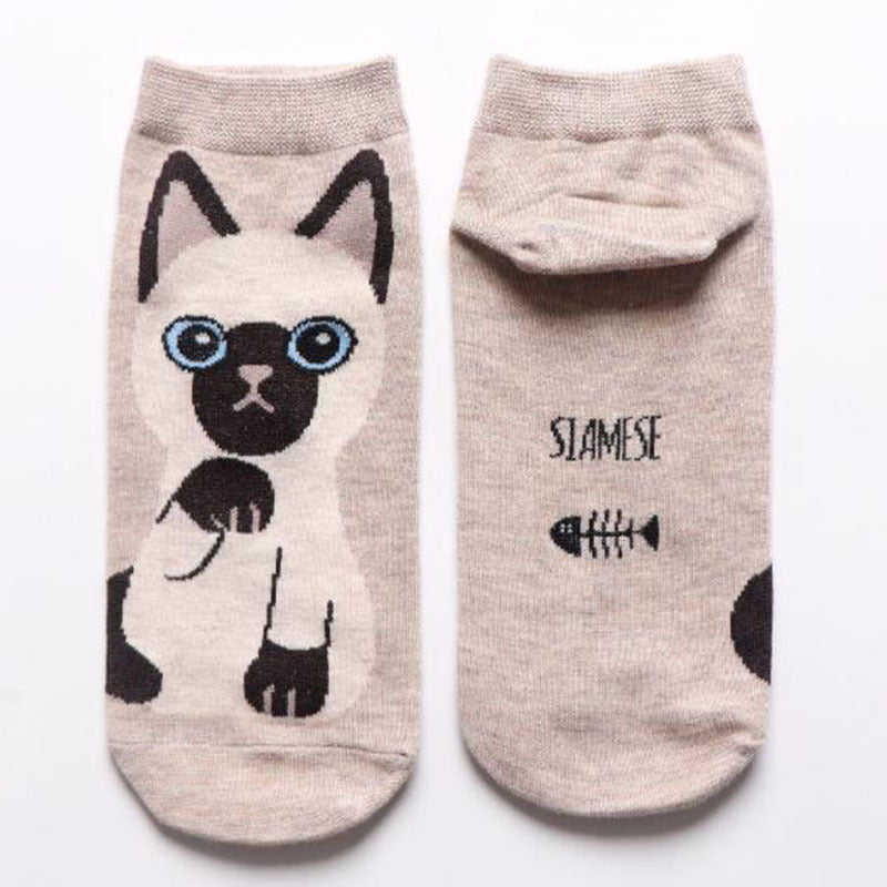 Women  & Teen Cotton Ankle Socks Gomaki