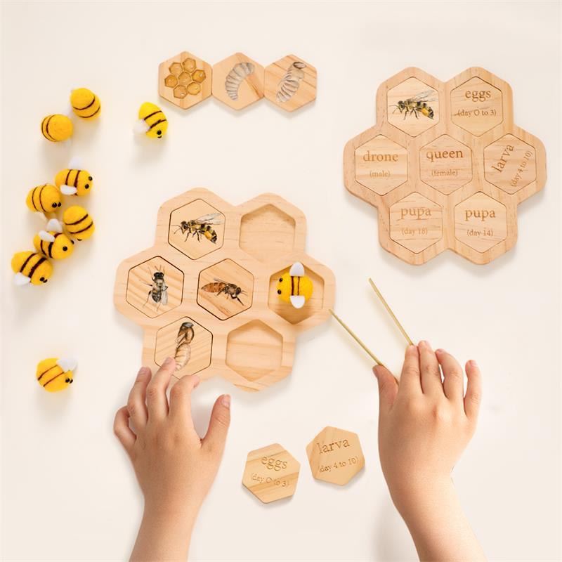 Gomaki Kids Montessori Bee Life Cycle Puzzle