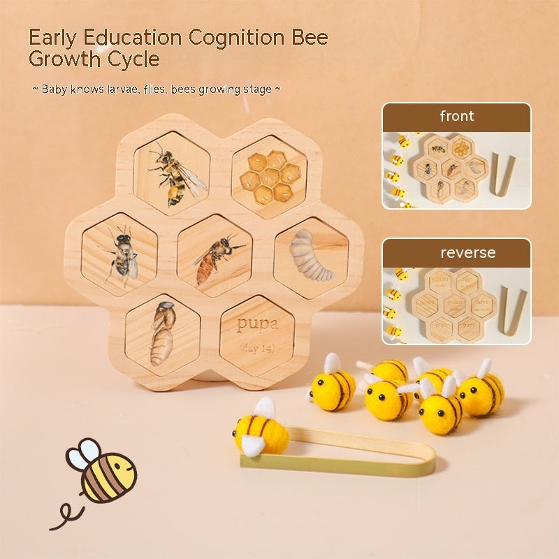 Gomaki Kids Montessori Bee Life Cycle Puzzle