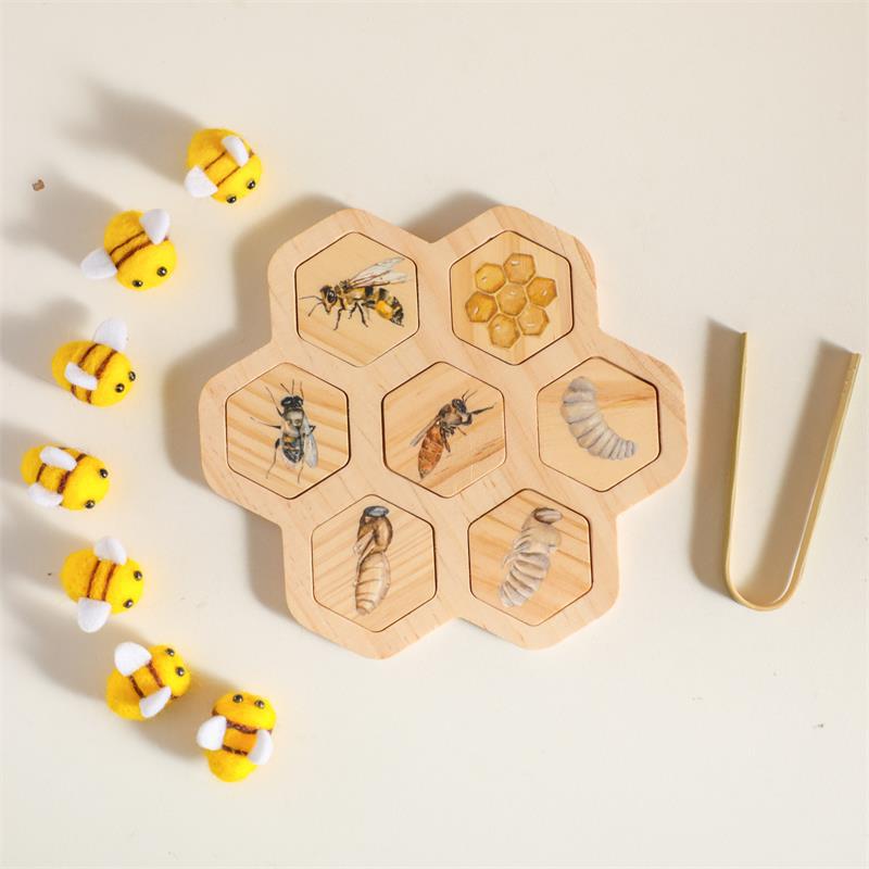 Gomaki Kids Montessori Bee Life Cycle Puzzle