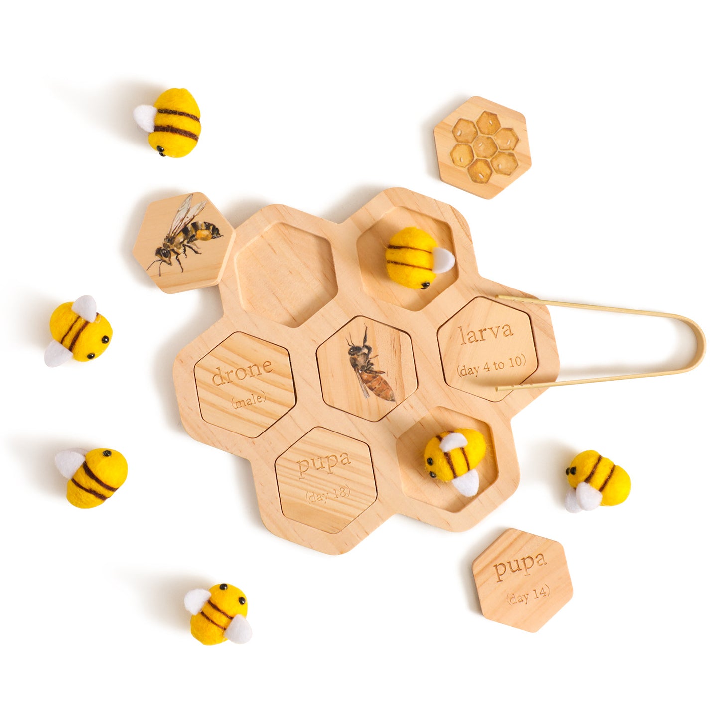 Gomaki Kids Montessori Bee Life Cycle Puzzle
