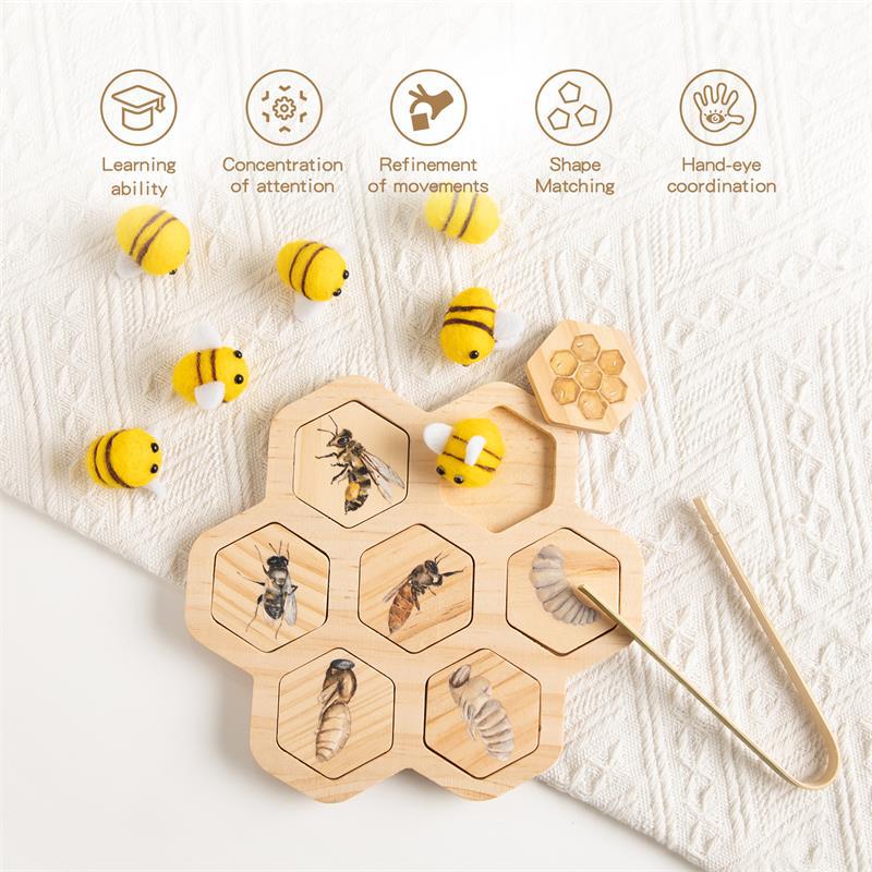 Gomaki Kids Montessori Bee Life Cycle Puzzle