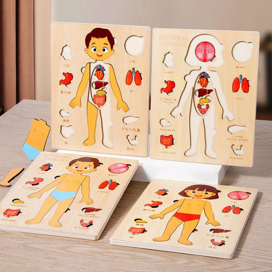 Gomaki Kids Montessori Human Body Puzzle