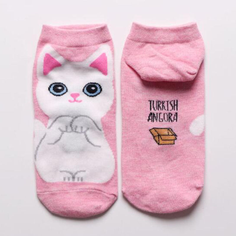Women  & Teen Cotton Ankle Socks Gomaki