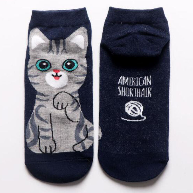 Women  & Teen Cotton Ankle Socks Gomaki